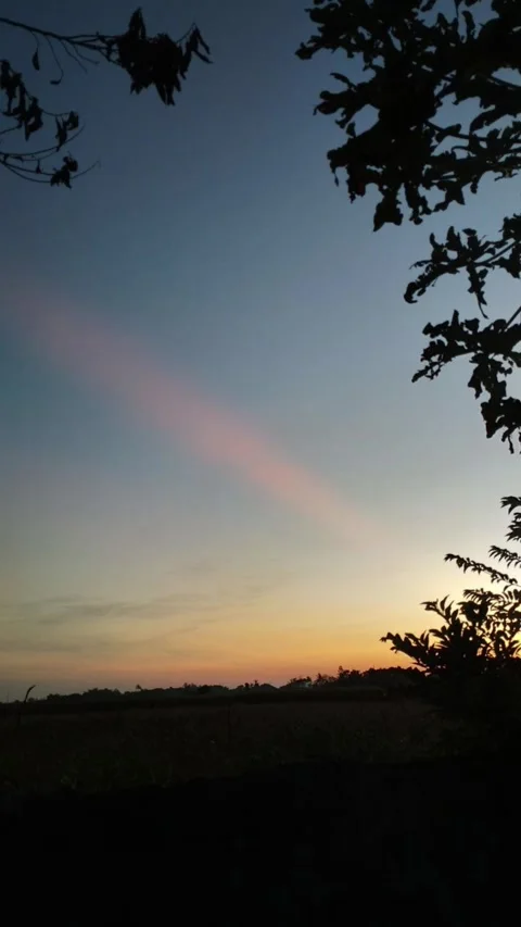 MORNING VIBES Video stock 244463641