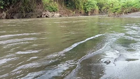 Morning vibes on the river Stock Footage 220855062