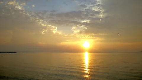 Morning view by the beach Stock Footage 79858149