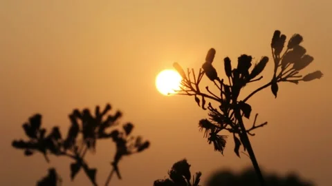 Morning view Stock-Footage 134489116