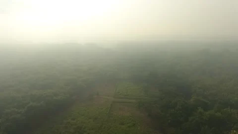 Morning View Stock Footage 193909045