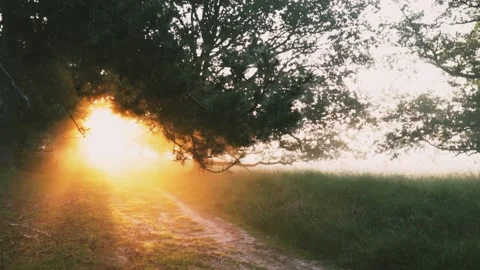 Morning view Stock Footage 218441303