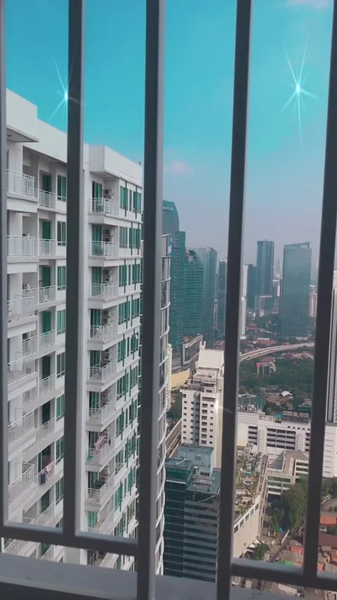 Morning View Stock Footage 219270871