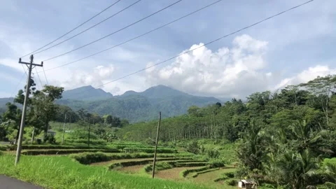 Morning view Stock Footage 240317325