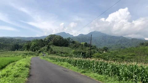 Morning view Stock Footage 240482548