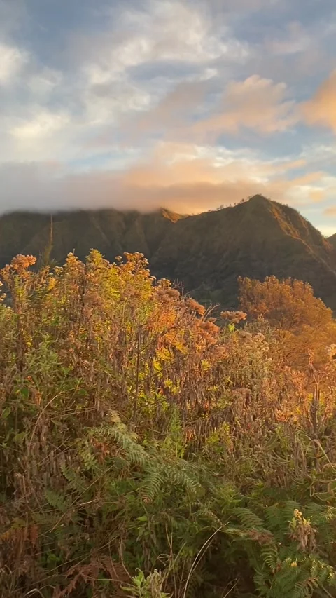 Morning view at mount bromo Stock Footage 304400762