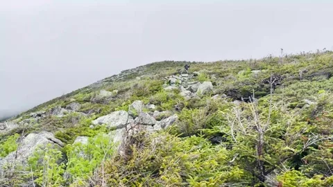 Morning View of Mountain Stock Footage 250964893