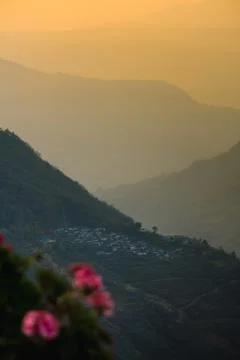 Morning view Stock Photos