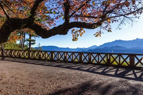 Morning view from terrace under orange tree of Zhushan mountain Stock Photos