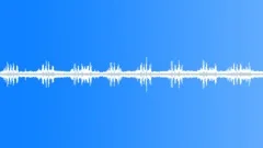 Morning Village Birds 01 - LoopSound Effect