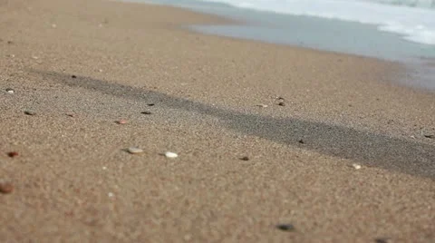 Morning walk on a beach Video stock 10835761