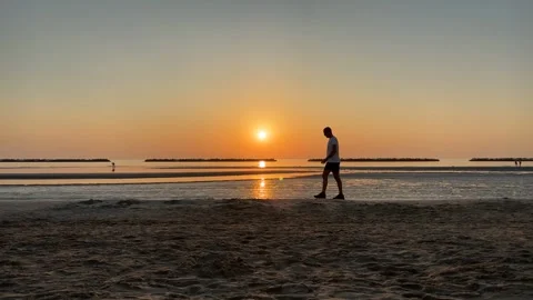 Morning walk Stock Footage 312381499
