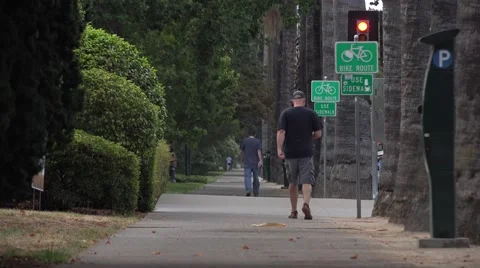 Morning walker Stock Footage 40612192