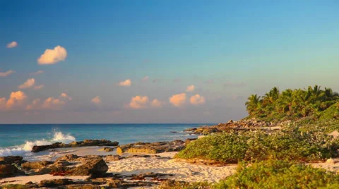 Morning On A Wild Beach Stock Footage 39355059
