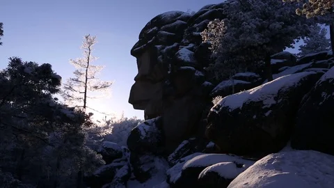 Morning in the winter forest. Video stock 69965523