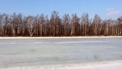 Morning winter landscape in the forest Stock Footage 266989425