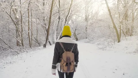 Morning winter walk Stock Footage 147436482