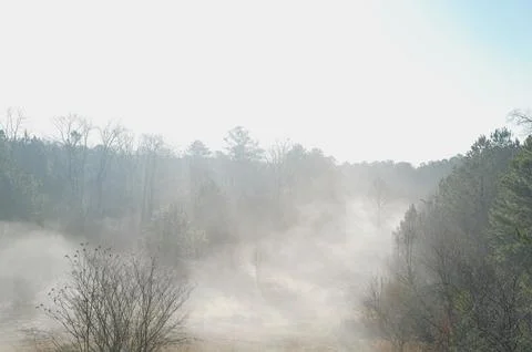 MorningFog2 Stock Photos