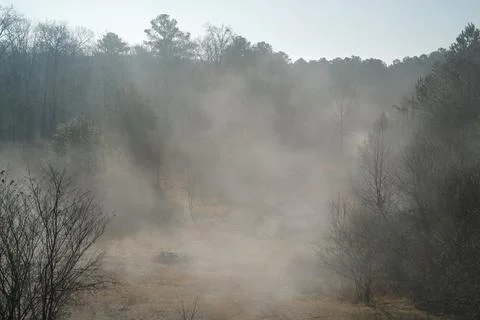 MorningFog2 Stock Photos