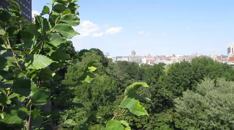 Morningside Heights 스톡 동영상 35328993