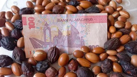 Moroccan 100 dirham banknote over Argan seeds Stock Photos