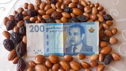 Moroccan 200 dirham banknote over Argan seeds Stock Photos