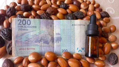 Moroccan 200 dirham banknote over Argan seeds Stock Photos