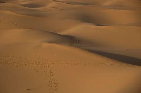Moroccan desert dune background Foto stock