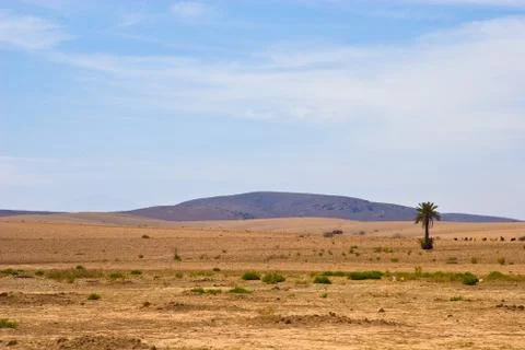 Moroccan desert Stock Photos