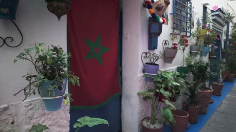 Moroccan Flag Drapes a Blue Door Adorned with Potted Plants in a Quaint Alleyway Stock Footage 341903767
