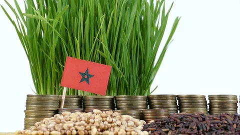 Moroccan flag with stack of money coins and piles of wheat and rice seeds Stock Footage 71986303