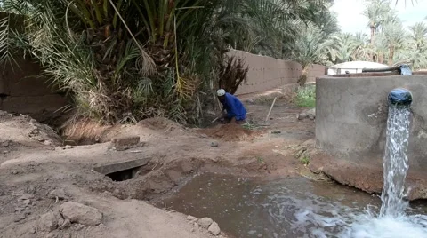 A Moroccan man digging ground with a hoe in Zagora Stock Footage 49678942