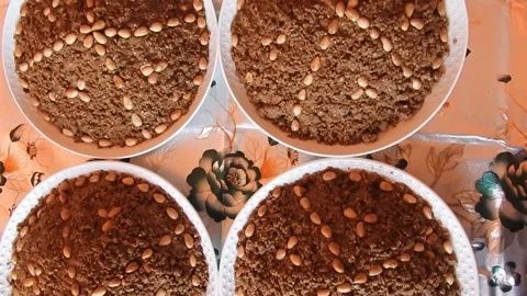 Moroccan sellou Stock Footage 165137187