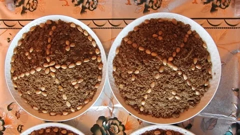 Moroccan sellou 動画素材 165137198