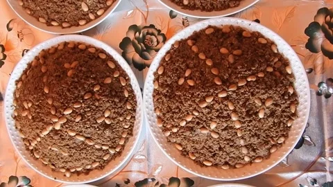 Moroccan sellou Stock Footage 165137309