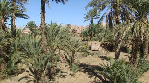 Morocco 13 Stockbeeldmateriaal 22564928