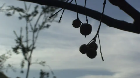 Morocco 9 Stockbeeldmateriaal 22565028