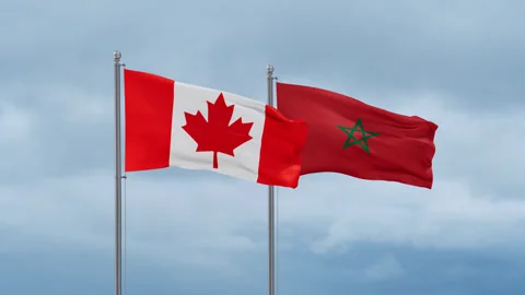 Morocco and Canada flag Stock Footage 252024821