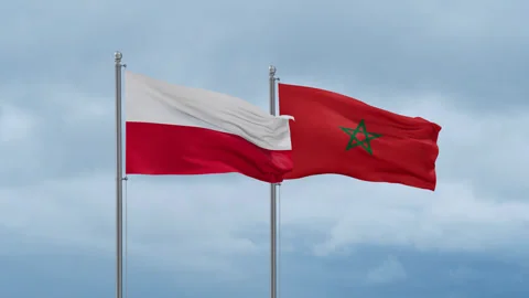 Morocco and Poland flag Video stock 252429477