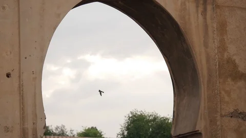 Morocco Architecture Video stock 88636552