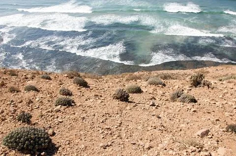 Morocco Atlantic coast Stock Photos