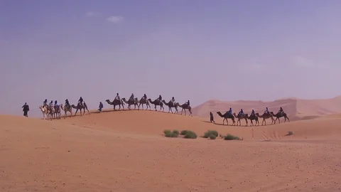 Morocco, Camel Caravan in the Desert #2 Stock Footage 129519810