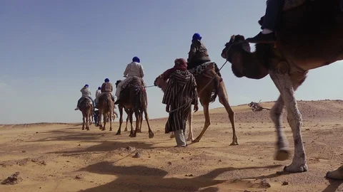 Morocco, Camel Caravan in the Desert Видео 129519236