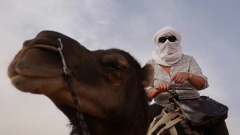 Morocco Camel Funny Video stock 88637426