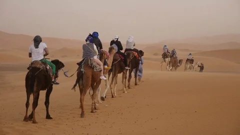 Morocco Camel Trip 스톡 동영상 88637313