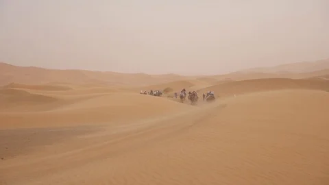Morocco Camel Trip Stock-Footage 88637339