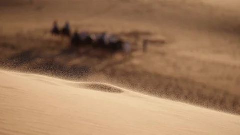 Morocco Camel Trip Video stock 88637603