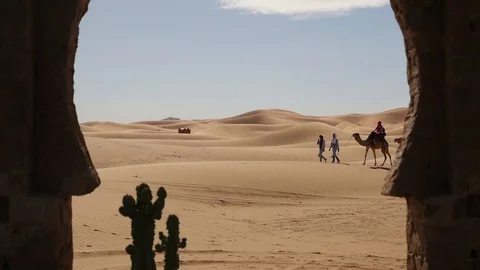 Morocco Camel Trip Video stock 88637887