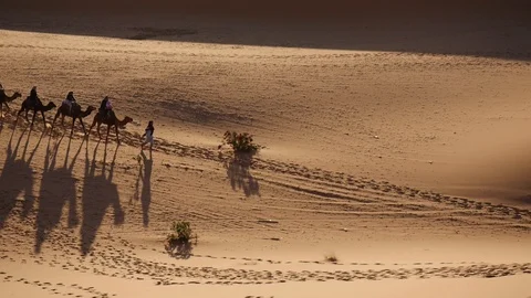 Morocco Camel Trip Video stock 88638048