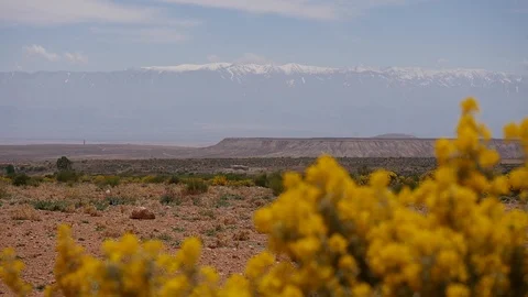 Morocco Desert Video stock 88636873